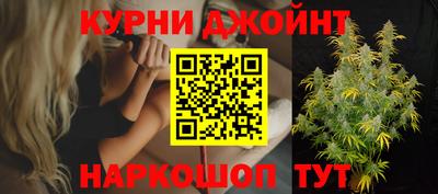 гашик Кулебаки