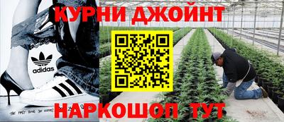 гашик Кулебаки