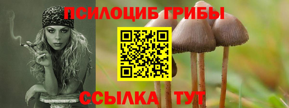 Псилоцибиновые грибы MAGIC MUSHROOMS  Вход с VPN  Галлюциногенные грибы GOLDEN TEACHER  Касимов 